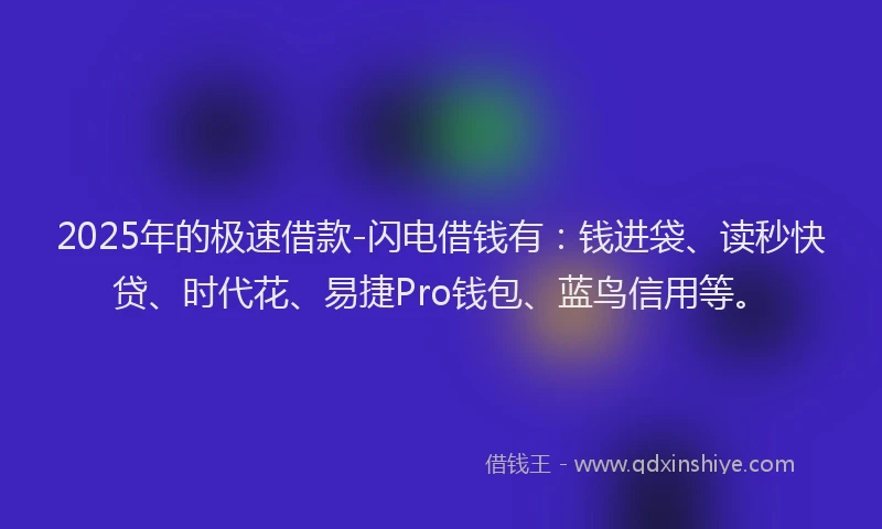 2025年的极速借款-闪电借钱有：钱进袋、读秒快贷、时代花、易捷Pro钱包、蓝鸟信用等。