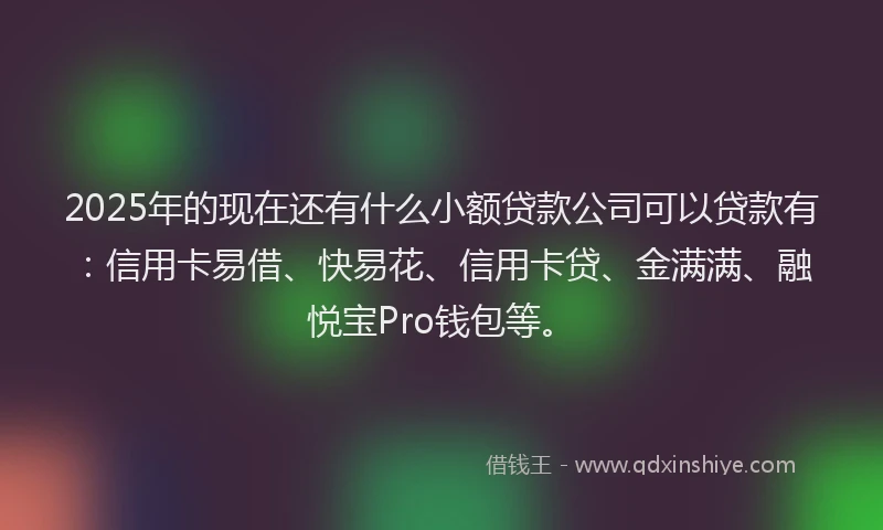 2025年的现在还有什么小额贷款公司可以贷款有：信用卡易借、快易花、信用卡贷、金满满、融悦宝Pro钱包等。