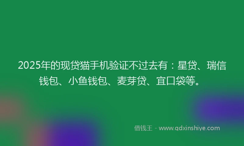 2025年的现贷猫手机验证不过去有：星贷、瑞信钱包、小鱼钱包、麦芽贷、宜口袋等。