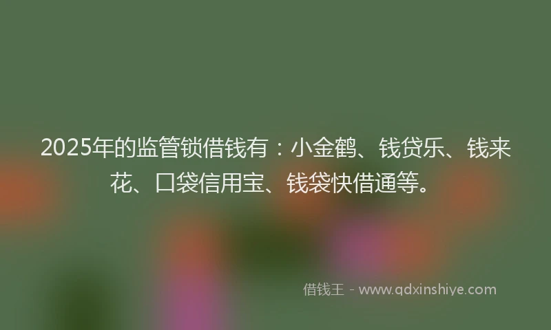 2025年的监管锁借钱有：小金鹤、钱贷乐、钱来花、口袋信用宝、钱袋快借通等。