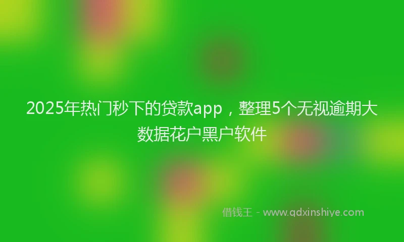 2025年热门秒下的贷款app，整理5个无视逾期大数据花户黑户软件