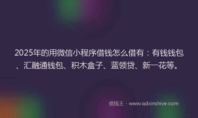 2025年的用微信小程序借钱怎么借有：有钱钱包、汇融通钱包、积木盒子、蓝领贷、新一花等。