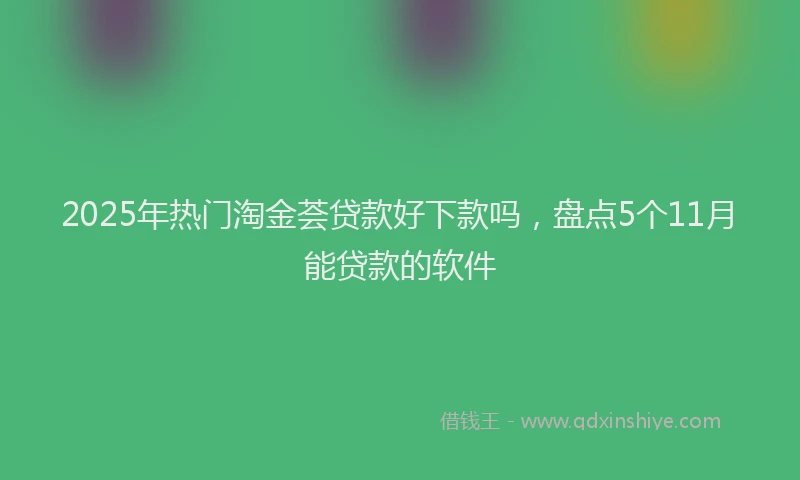 2025年热门淘金荟贷款好下款吗，盘点5个11月能贷款的软件