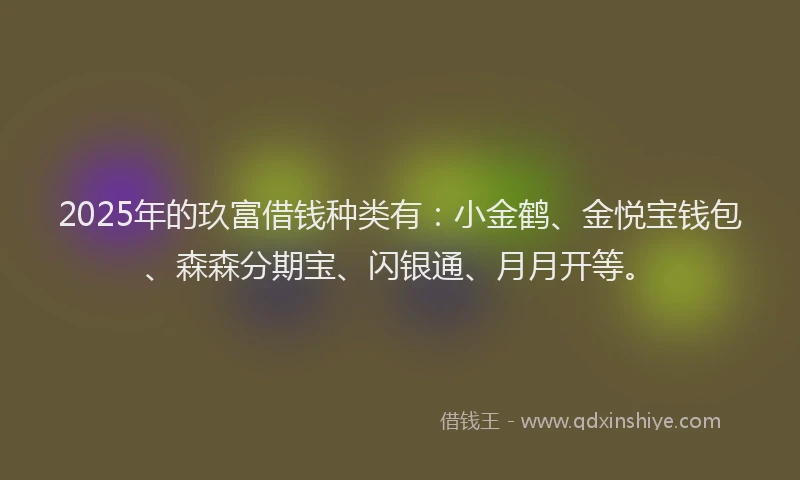 2025年的玖富借钱种类有：小金鹤、金悦宝钱包、森森分期宝、闪银通、月月开等。
