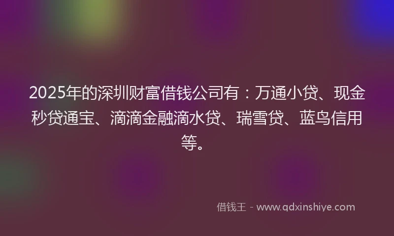 2025年的深圳财富借钱公司有：万通小贷、现金秒贷通宝、滴滴金融滴水贷、瑞雪贷、蓝鸟信用等。