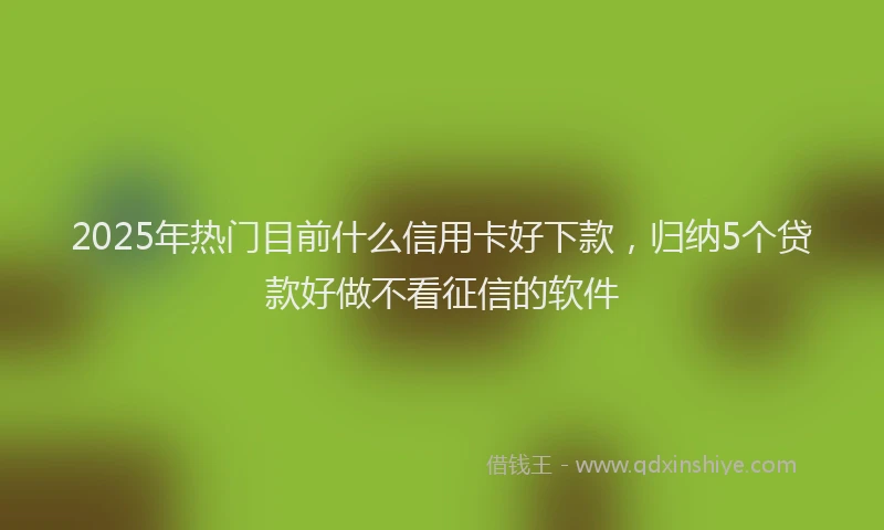 2025年热门目前什么信用卡好下款，归纳5个贷款好做不看征信的软件