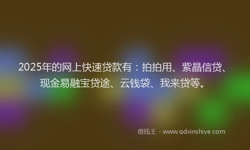 2025年的网上快速贷款有：拍拍用、紫晶信贷、现金易融宝贷途、云钱袋、我来贷等。