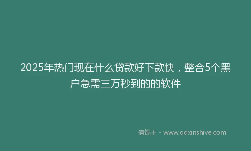 2025年热门现在什么贷款好下款快，整合5个黑户急需三万秒到的的软件