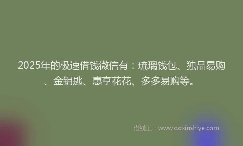 2025年的极速借钱微信有：琉璃钱包、独品易购、金钥匙、惠享花花、多多易购等。