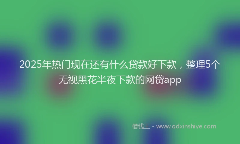 2025年热门现在还有什么贷款好下款，整理5个无视黑花半夜下款的网贷app