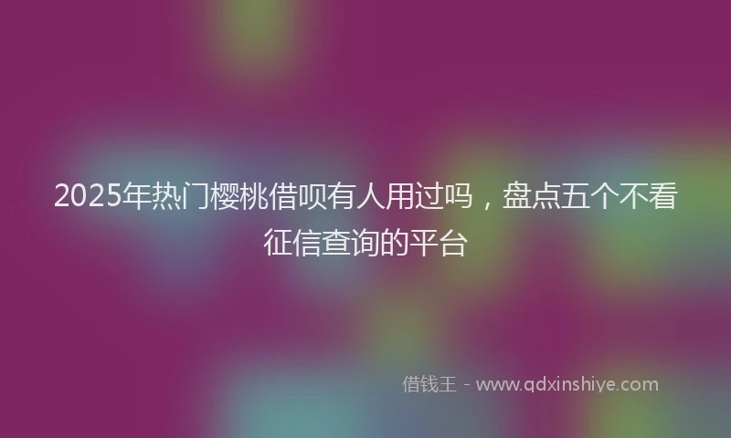2025年热门樱桃借呗有人用过吗，盘点五个不看征信查询的平台
