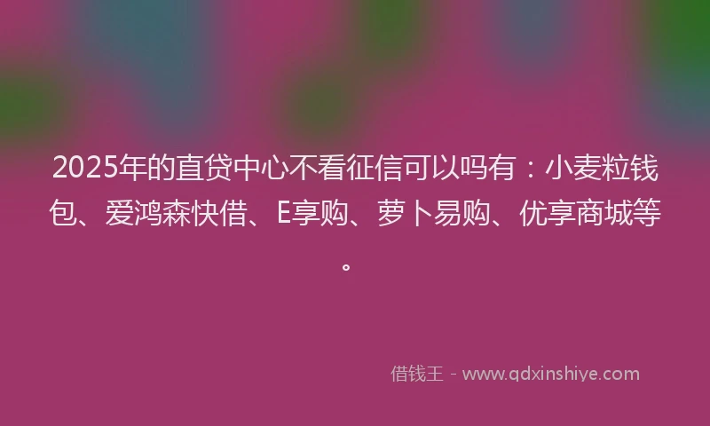 2025年的直贷中心不看征信可以吗有：小麦粒钱包、爱鸿森快借、E享购、萝卜易购、优享商城等。