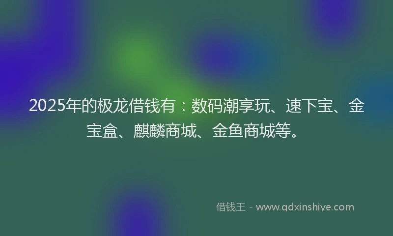2025年的极龙借钱有：数码潮享玩、速下宝、金宝盒、麒麟商城、金鱼商城等。