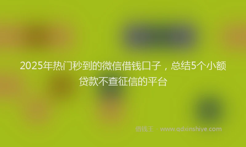 2025年热门秒到的微信借钱口子，总结5个小额贷款不查征信的平台