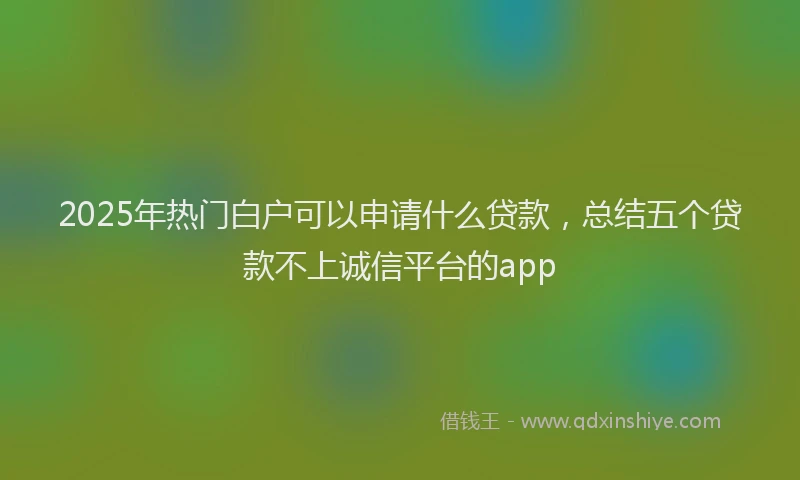 2025年热门白户可以申请什么贷款，总结五个贷款不上诚信平台的app