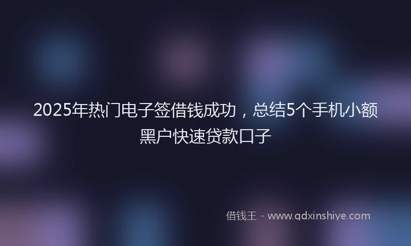 2025年热门电子签借钱成功，总结5个手机小额黑户快速贷款口子