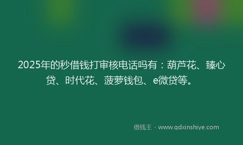 2025年的秒借钱打审核电话吗有：葫芦花、臻心贷、时代花、菠萝钱包、e微贷等。