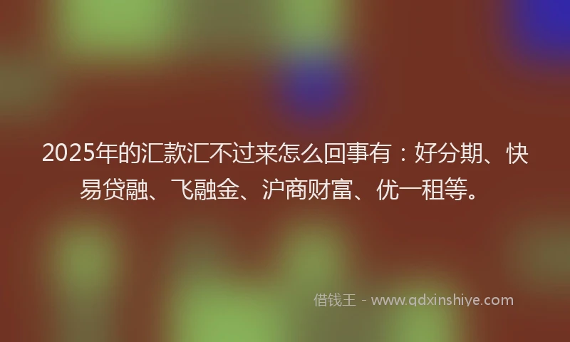 2025年的汇款汇不过来怎么回事有：好分期、快易贷融、飞融金、沪商财富、优一租等。