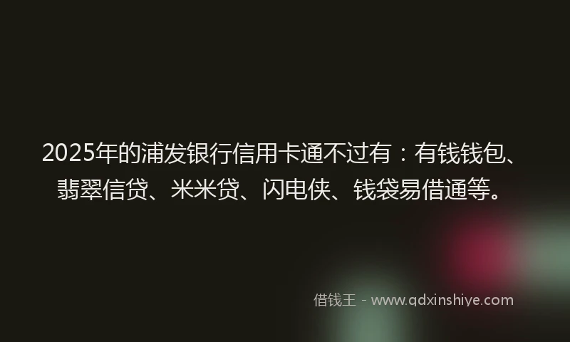 2025年的浦发银行信用卡通不过有：有钱钱包、翡翠信贷、米米贷、闪电侠、钱袋易借通等。