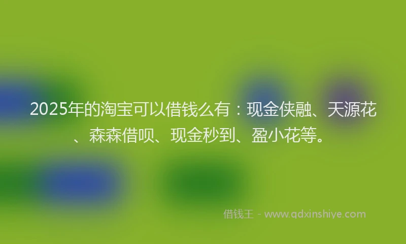 2025年的淘宝可以借钱么有：现金侠融、天源花、森森借呗、现金秒到、盈小花等。