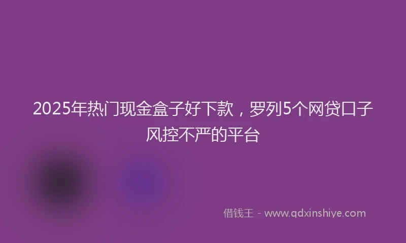 2025年热门现金盒子好下款，罗列5个网贷口子风控不严的平台