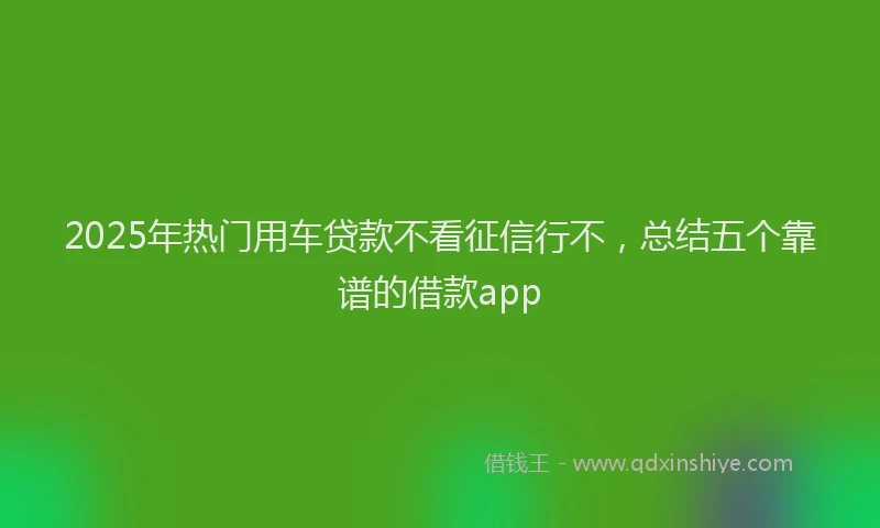 2025年热门用车贷款不看征信行不，总结五个靠谱的借款app