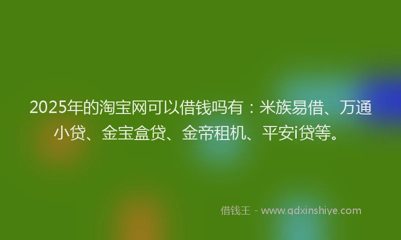 2025年的淘宝网可以借钱吗有：米族易借、万通小贷、金宝盒贷、金帝租机、平安i贷等。