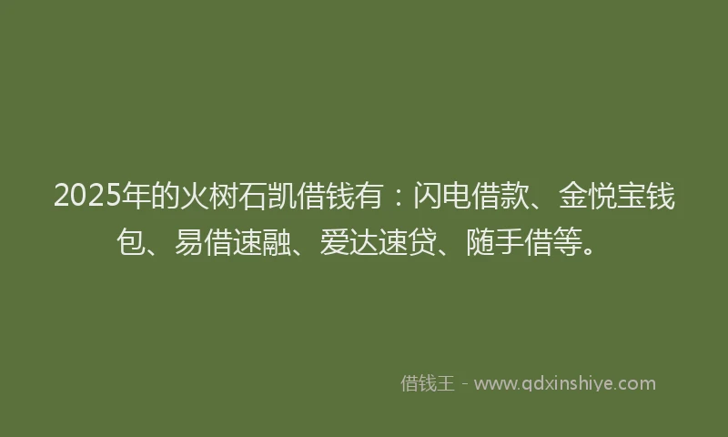 2025年的火树石凯借钱有：闪电借款、金悦宝钱包、易借速融、爱达速贷、随手借等。