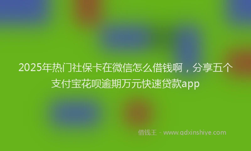 2025年热门社保卡在微信怎么借钱啊，分享五个支付宝花呗逾期万元快速贷款app