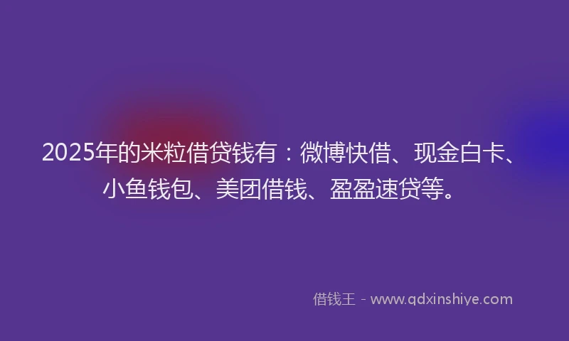 2025年的米粒借贷钱有：微博快借、现金白卡、小鱼钱包、美团借钱、盈盈速贷等。