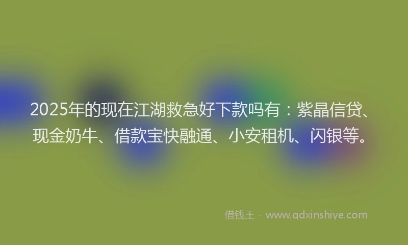 2025年的现在江湖救急好下款吗有：紫晶信贷、现金奶牛、借款宝快融通、小安租机、闪银等。