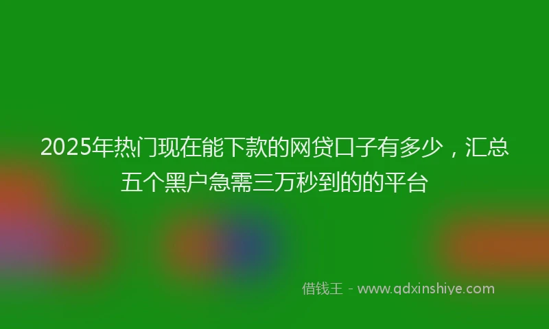 2025年热门现在能下款的网贷口子有多少，汇总五个黑户急需三万秒到的的平台