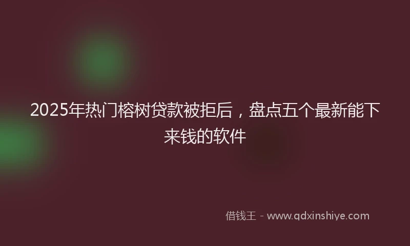 2025年热门榕树贷款被拒后，盘点五个最新能下来钱的软件
