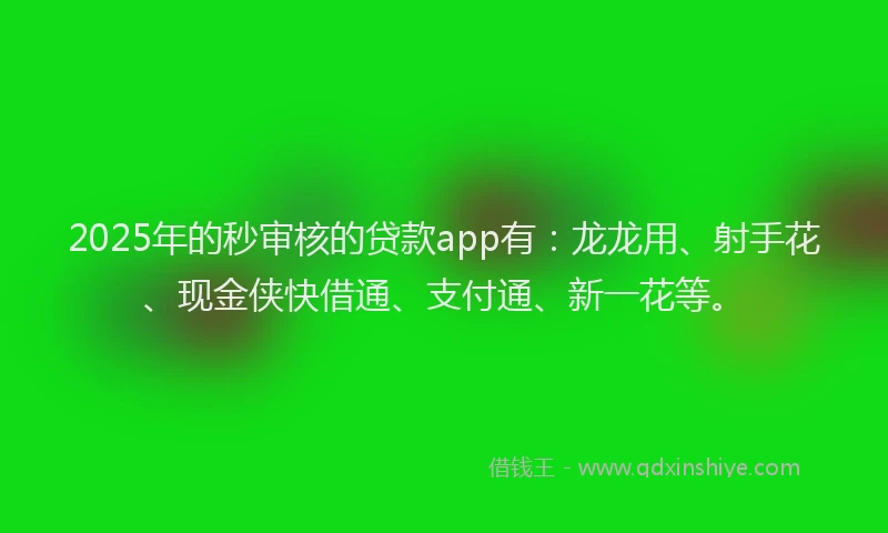 2025年的秒审核的贷款app有：龙龙用、射手花、现金侠快借通、支付通、新一花等。