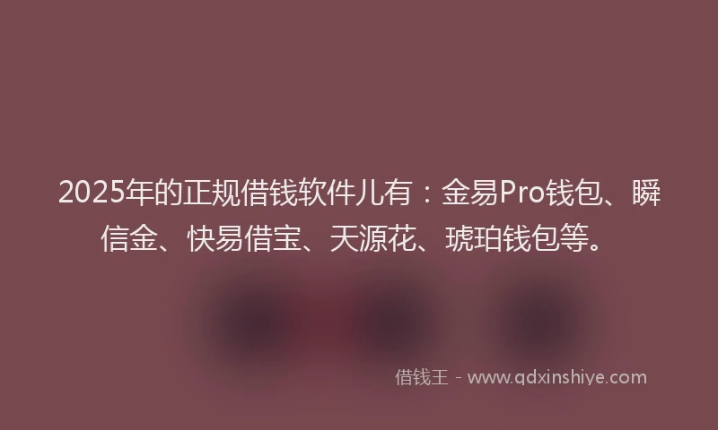 2025年的正规借钱软件儿有：金易Pro钱包、瞬信金、快易借宝、天源花、琥珀钱包等。