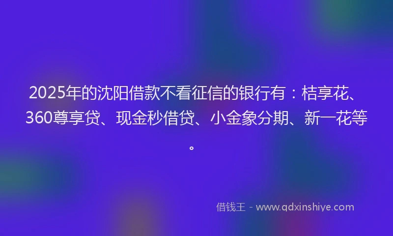 2025年的沈阳借款不看征信的银行有：桔享花、360尊享贷、现金秒借贷、小金象分期、新一花等。
