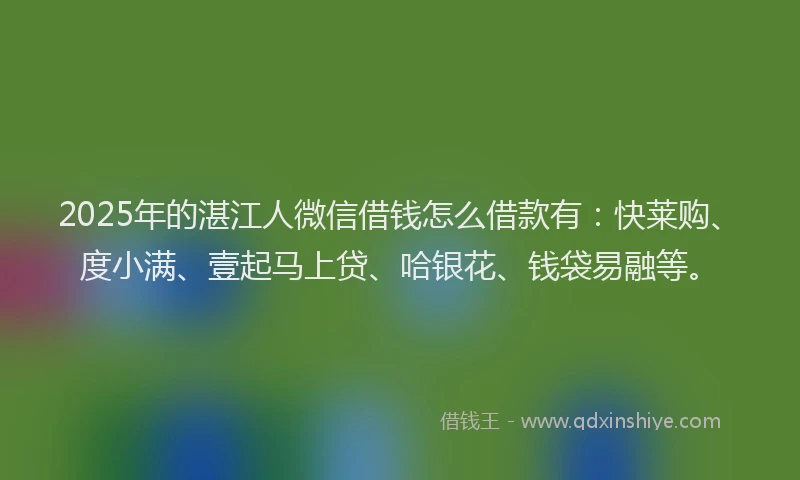 2025年的湛江人微信借钱怎么借款有：快莱购、度小满、壹起马上贷、哈银花、钱袋易融等。