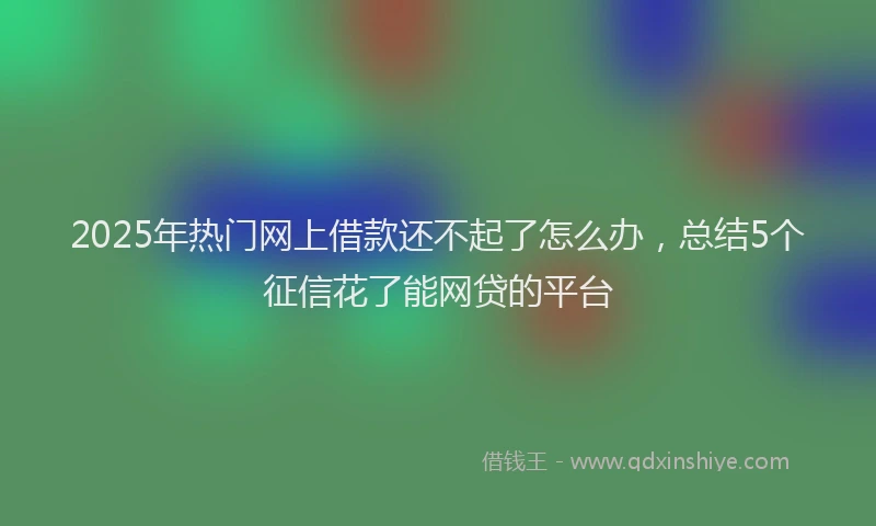 2025年热门网上借款还不起了怎么办，总结5个征信花了能网贷的平台