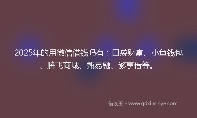 2025年的用微信借钱吗有：口袋财富、小鱼钱包、腾飞商城、甄易融、够享借等。