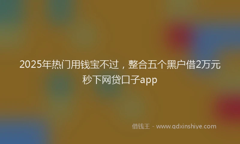 2025年热门用钱宝不过，整合五个黑户借2万元秒下网贷口子app
