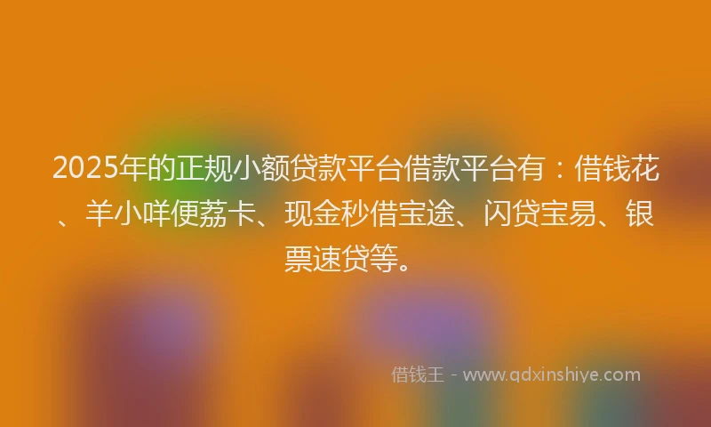 2025年的正规小额贷款平台借款平台有：借钱花、羊小咩便荔卡、现金秒借宝途、闪贷宝易、银票速贷等。