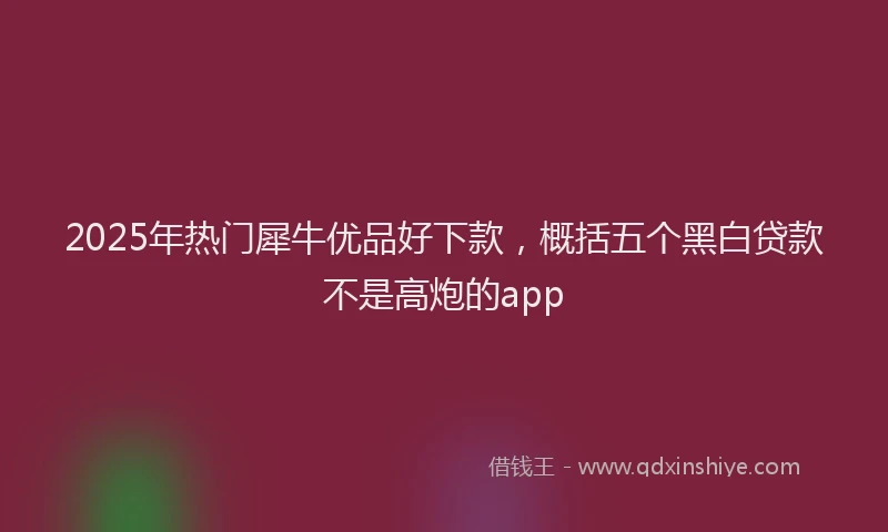 2025年热门犀牛优品好下款，概括五个黑白贷款不是高炮的app