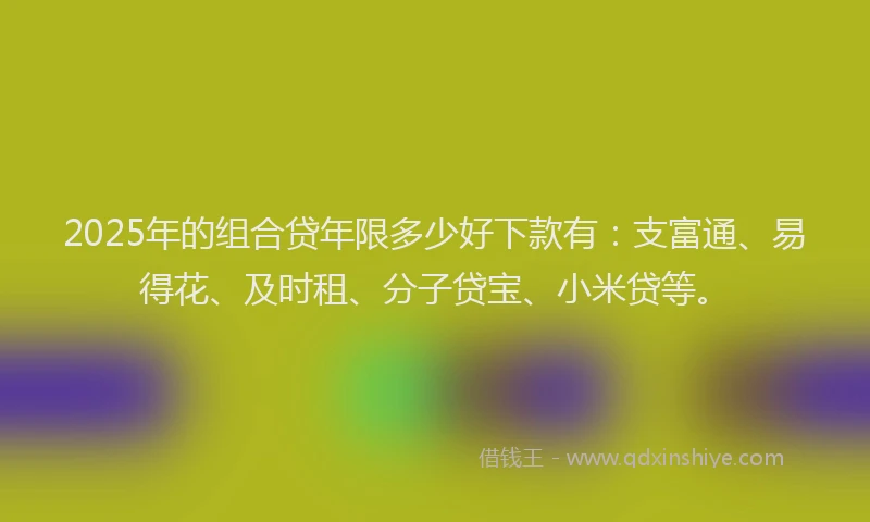 2025年的组合贷年限多少好下款有：支富通、易得花、及时租、分子贷宝、小米贷等。