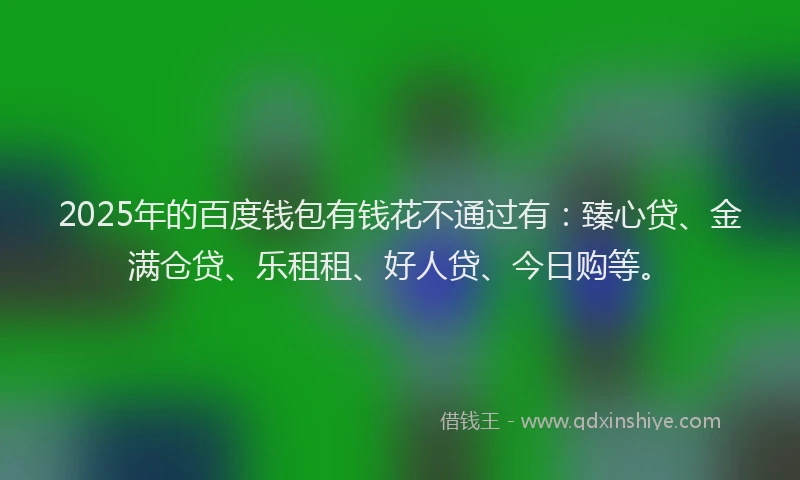2025年的百度钱包有钱花不通过有：臻心贷、金满仓贷、乐租租、好人贷、今日购等。