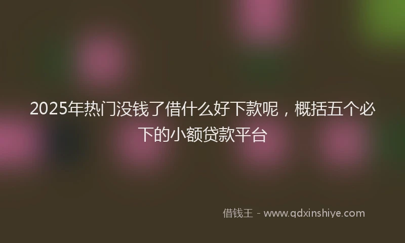 2025年热门没钱了借什么好下款呢，概括五个必下的小额贷款平台