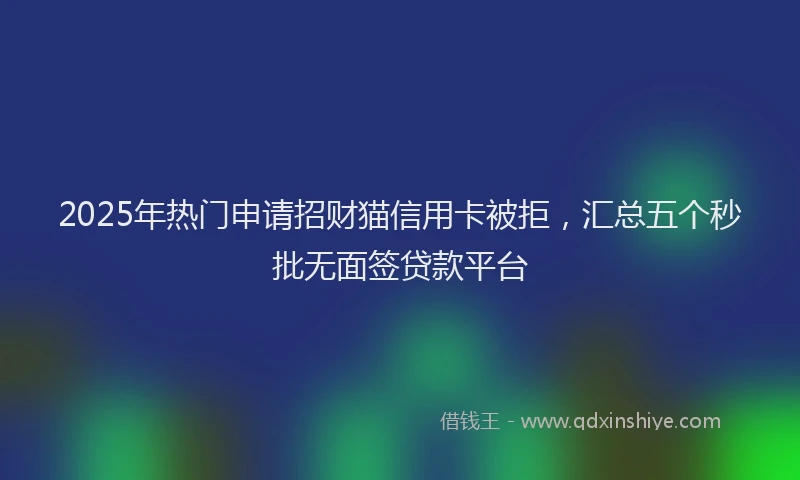 2025年热门申请招财猫信用卡被拒，汇总五个秒批无面签贷款平台