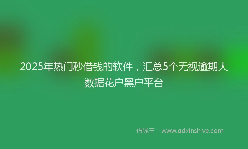 2025年热门秒借钱的软件，汇总5个无视逾期大数据花户黑户平台