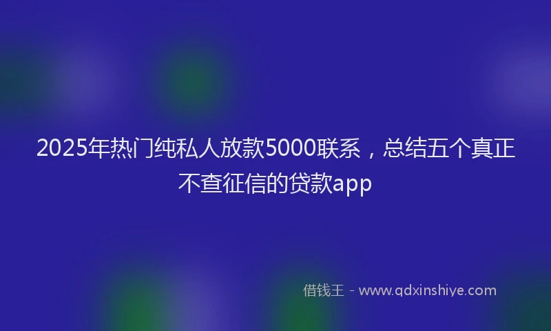2025年热门纯私人放款5000联系，总结五个真正不查征信的贷款app