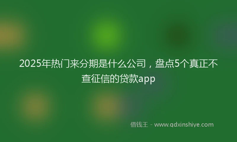 2025年热门来分期是什么公司，盘点5个真正不查征信的贷款app