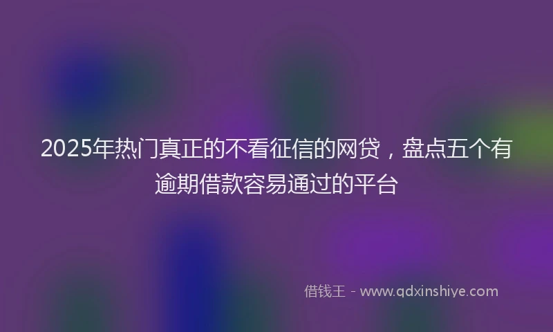 2025年热门真正的不看征信的网贷，盘点五个有逾期借款容易通过的平台
